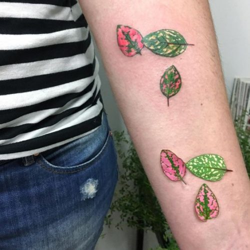Discover 2025’s Top 20 Botanical Illustration Tattoos: Vintage Floral Art Meets Modern Ink Designs
