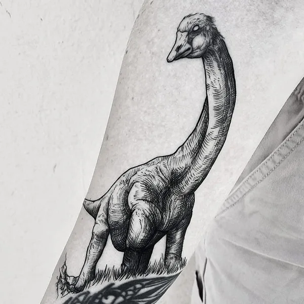 Brontosaurus Tattoo 3