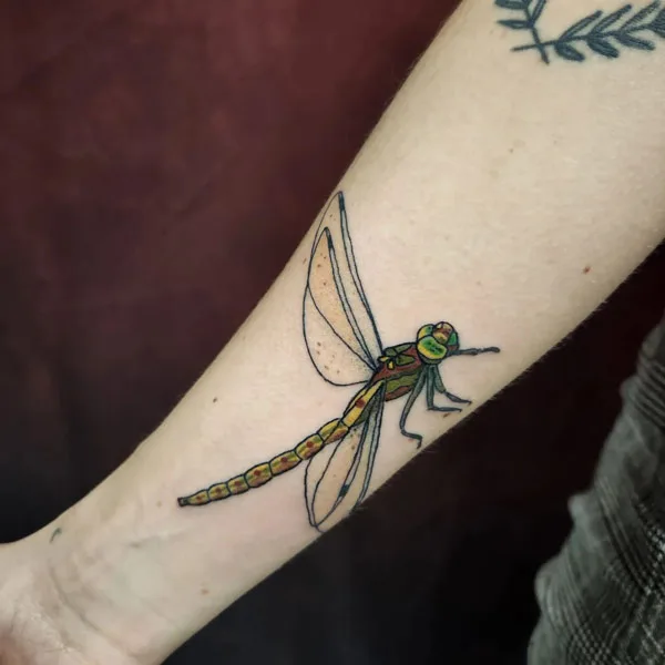 Dragonfly tattoo 1