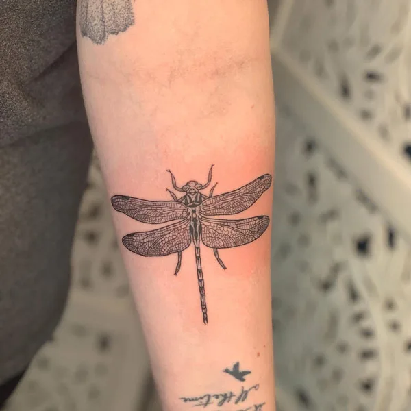 Dragonfly tattoo 49