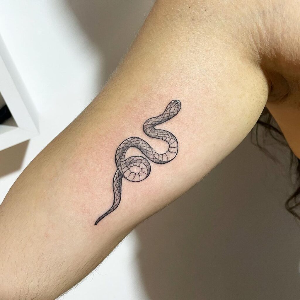 Minimal little cobra tattoo on inner arm tiny yet mighty 