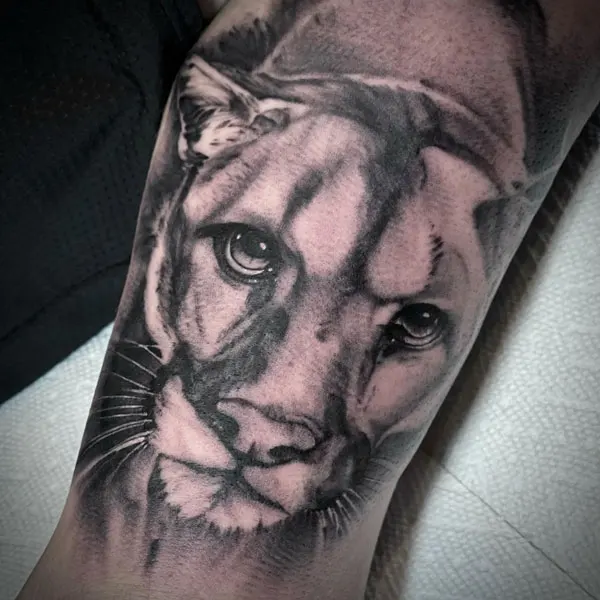Mountain Lion Tattoo 2