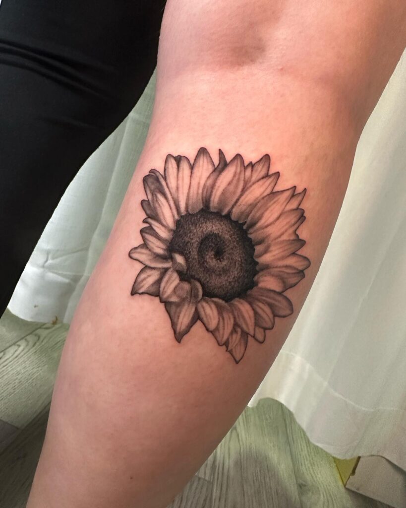 Realism Sunflowers in Black and Grey, Blooming on the Calf: Sunflower Symphony 