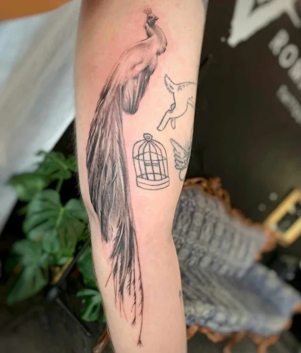 White Peacock Tattoo